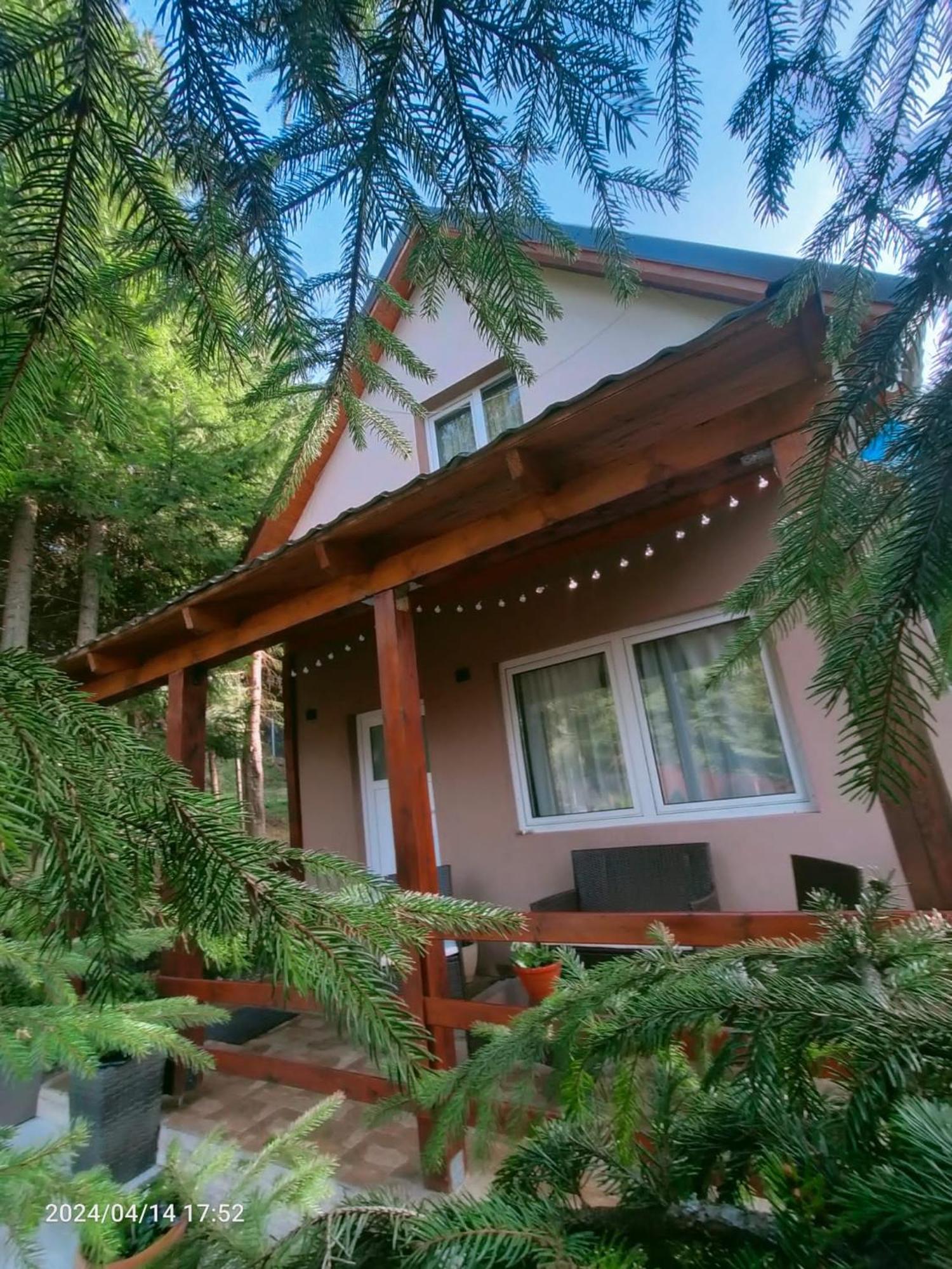 Villa Andilak Vendeghaz Sintimbru-Bai Exterior foto